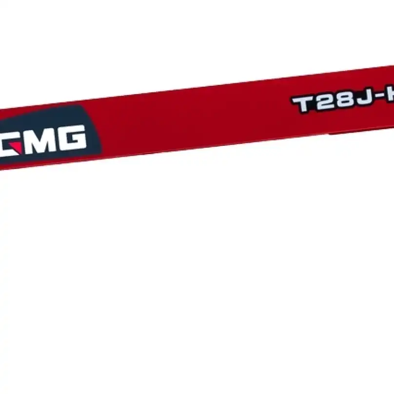 LGMG_T28J-H-1